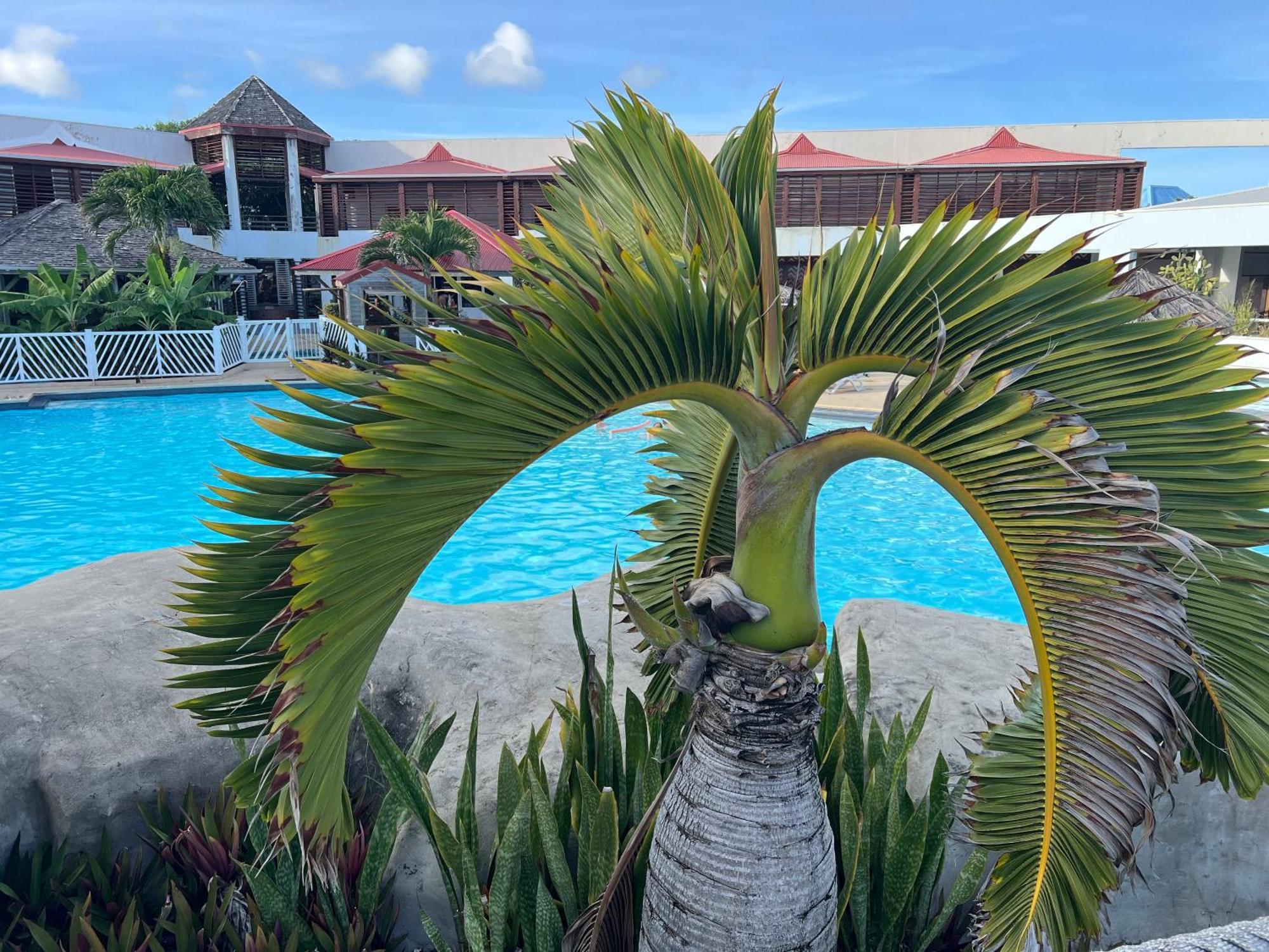 Studio Bord De Mer Avec Piscine - Le Manganao, Saint-Francois Extérieur photo
